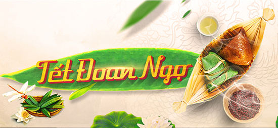 tet-doan-ngo-minh-hoa.jpg